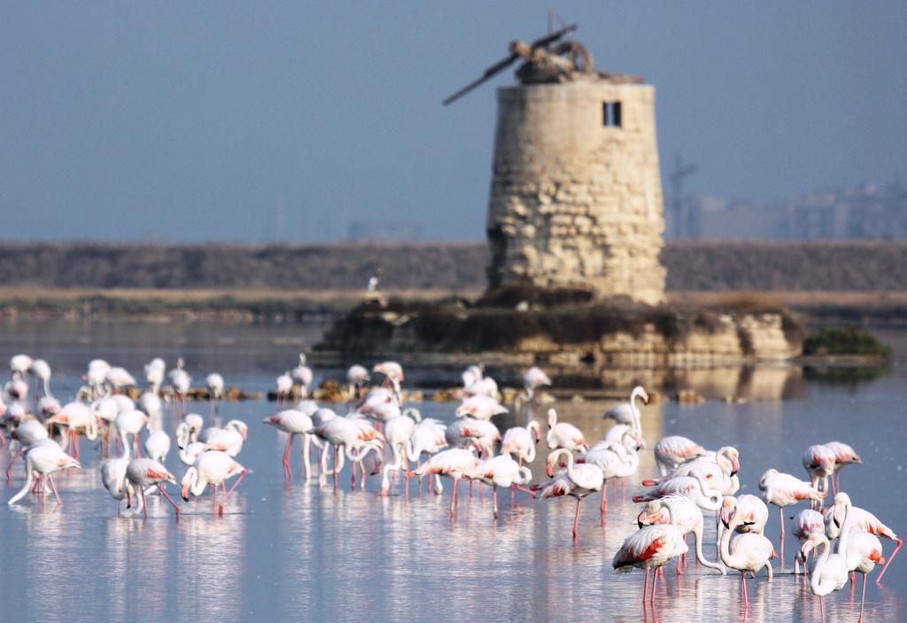 Appartamenti Trapani Mare Екстер'єр фото